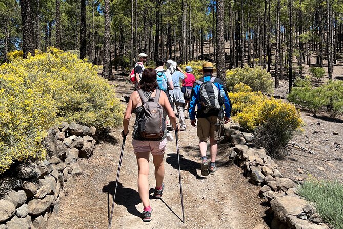 Hikes Roque Nublo - Roque Nublo, the UNESCO monolith you walk toward