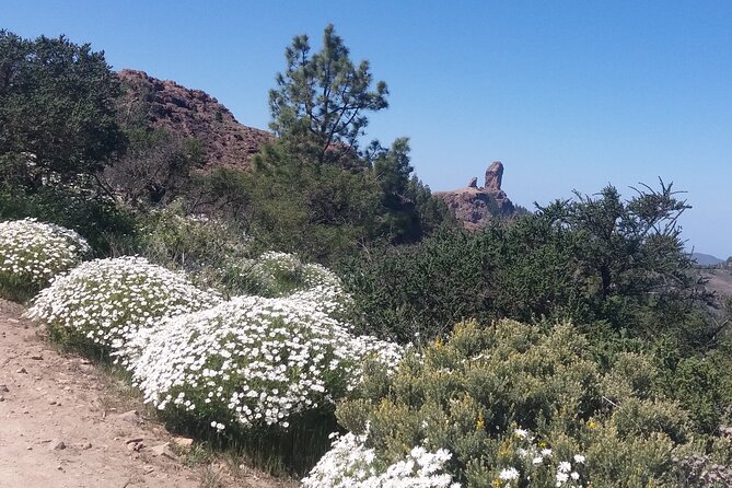 Hikes Roque Nublo - Price and value: what $106.04 buys you