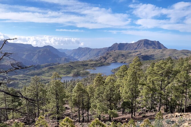 Hiking experience in the north of Gran Canaria - Key highlights you’ll feel right away