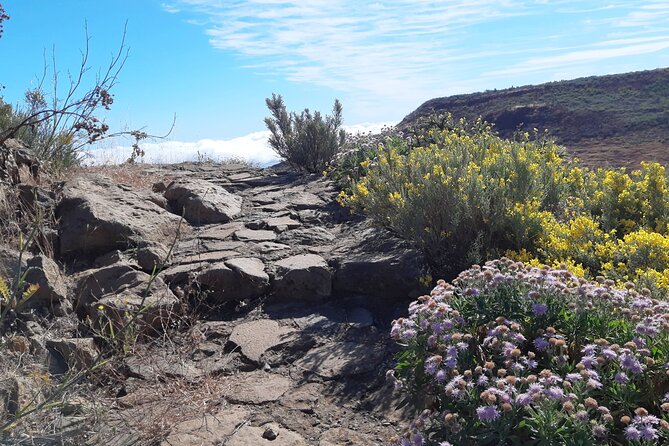 Hiking experience in the north of Gran Canaria - Lunch vs picnic: plan for both