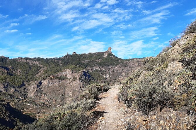 Hiking experience in the north of Gran Canaria - What the guide actually brings: flora, fauna, and humor