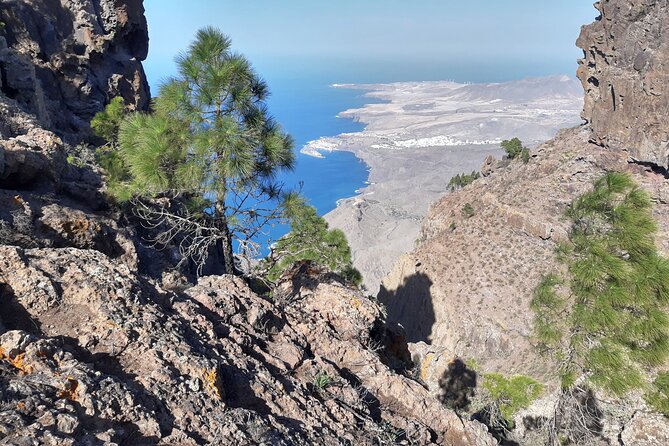 Hiking experience in the north of Gran Canaria - Why the north contrast matters (and why “cooler” is a feature)