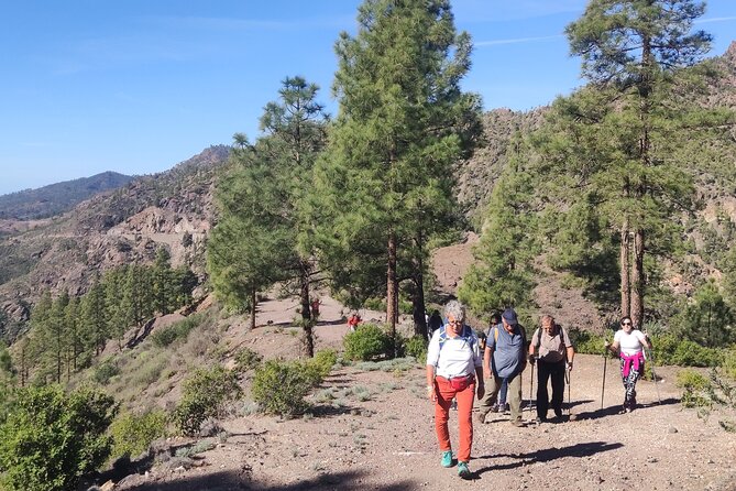 Hiking in the Sacred Mountains of Gran Canaria: UNESCO - Mesa de Acusa: where the pre-Hispanic story comes into focus