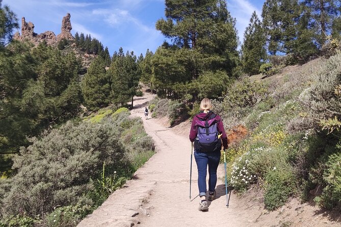 Hiking in the Sacred Mountains of Gran Canaria: UNESCO - Pickup and small-group logistics that reduce stress