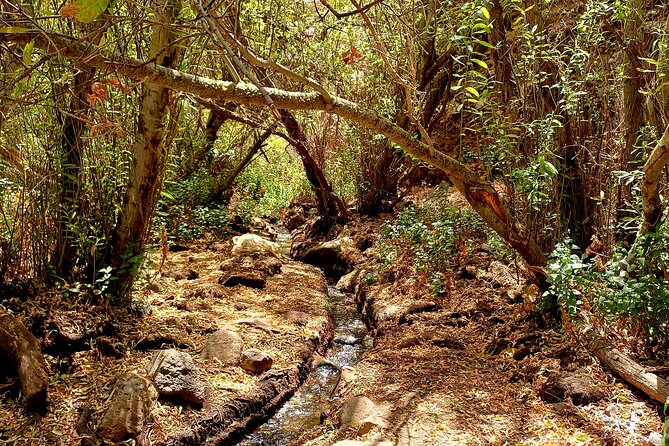 Hiking in Waterfalls & Rainforest with local guides: Sky Rebels - What you need to bring: water, shoes, sun protection, and clothes