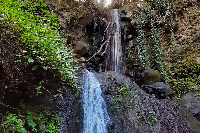 Hiking in Waterfalls & Rainforest with local guides: Sky Rebels - Price and value: is $98.52 a fair deal?