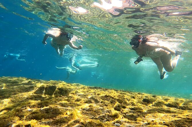 Kayaking Adventure Route with Snorkeling in Mogan Caves - Fitness rules: this is a workout day, not a casual paddle
