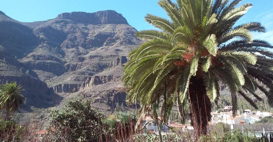 Las Palmas: 8-Hour Gran Canaria Island Highlights Tour - One Day Across the Island: Why This Route Works
