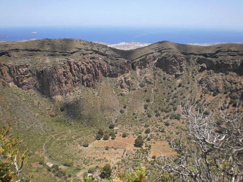Las Palmas: 8-Hour Gran Canaria Island Highlights Tour - Fataga Lunch: Taverna Time in a Mountain Village
