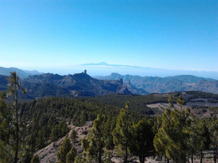 Las Palmas: 8-Hour Gran Canaria Island Highlights Tour - Maspalomas Sand Dunes: 45 Minutes of Free Time