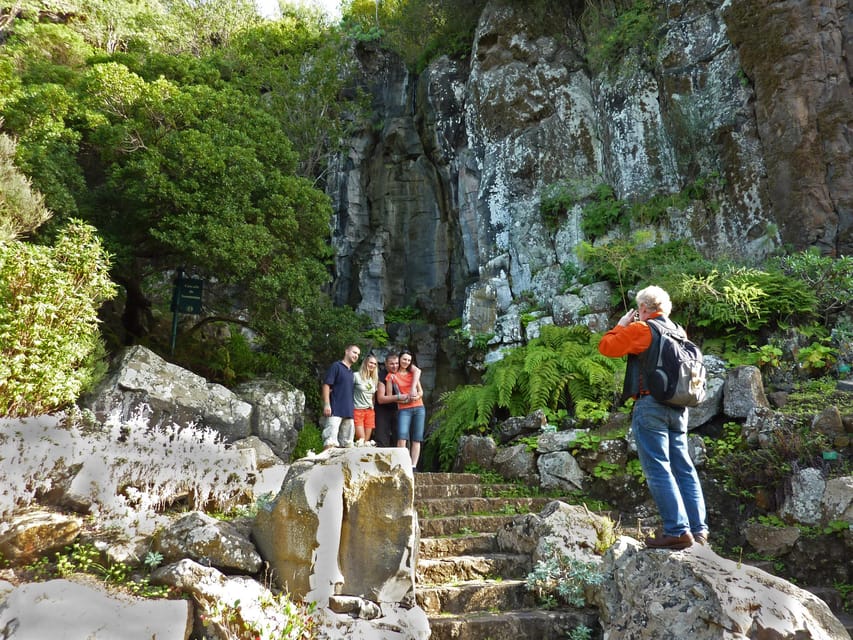 Las Palmas: Botanic Garden Tour (Bandama Caldera Option) - Walking the garden: volcanic ravines, pine woods, and Macaronesian forest