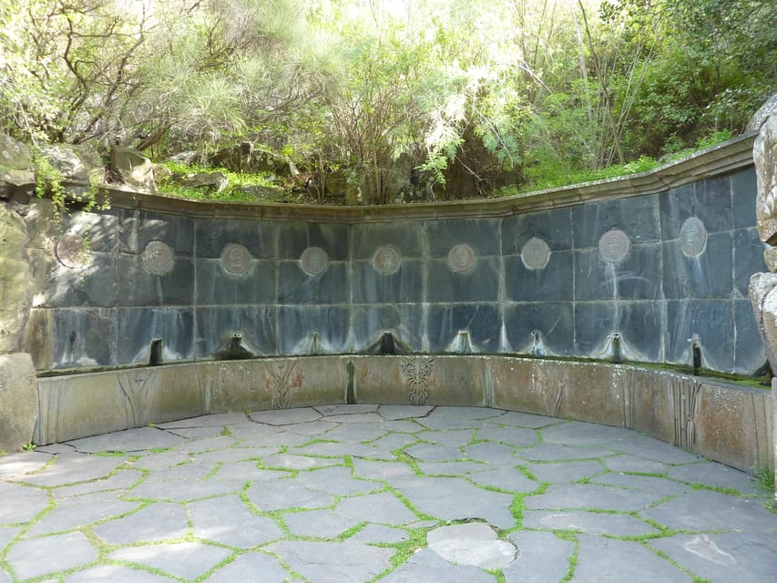 Las Palmas: Botanic Garden Tour (Bandama Caldera Option) - Finishing in Vegueta near Catedral de Canarias: turn the day into a mini outing