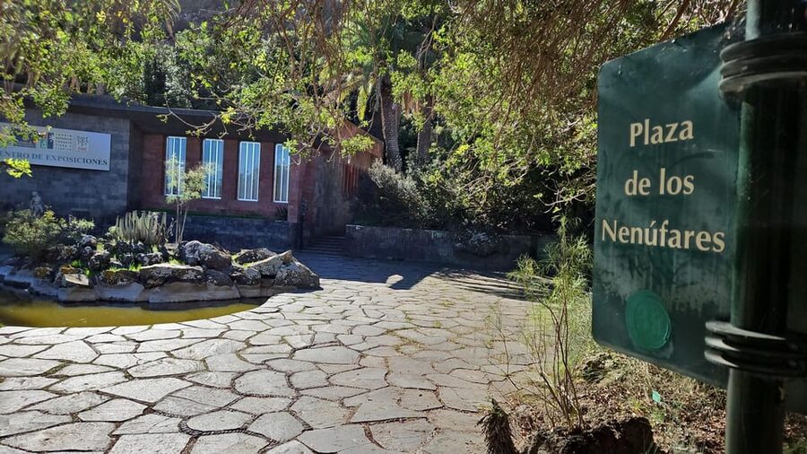 Las Palmas: Botanic Garden Tour (Bandama Caldera Option) - Price and value: what your $39 is really buying