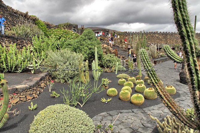 Las Palmas, Botanical Garden & Bandama Crater tour - Gran Canaria - Pickup, Timing, and How This 8-Hour Day Really Fits