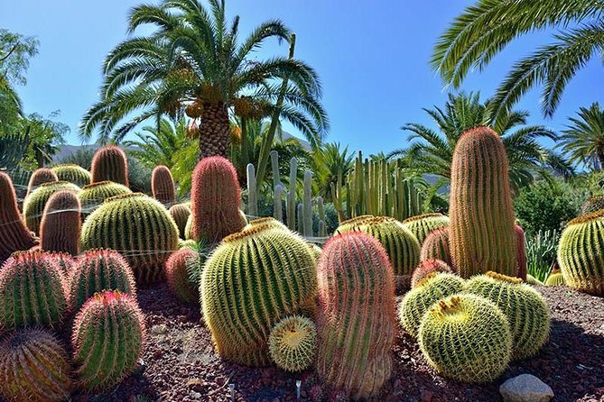 Las Palmas, Botanical Garden & Bandama Crater tour - Gran Canaria - The Guide Factor: How This Tour Prevents the Usual Mess