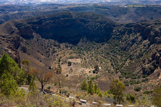 Las Palmas, Botanical Garden & Bandama Crater tour - Gran Canaria - Jardin Botanico Viera y Clavijo: Flora Time, With One Common Complaint