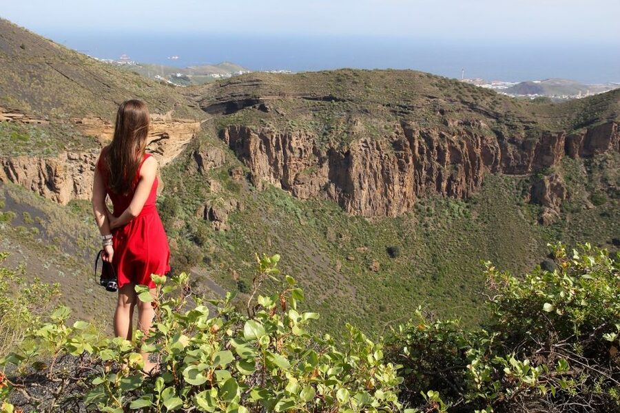 Las Palmas, Botanical Gardens and Bandama Volcano Tour - Poema del Mar aquarium: optional, and best for a certain kind of day