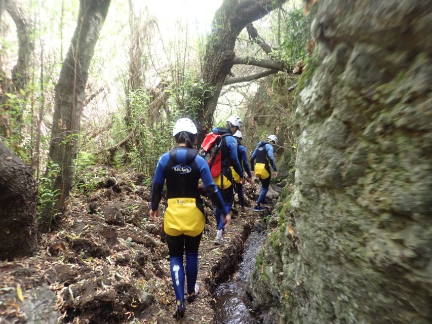 Las Palmas, Gran Canaria: Canyoning Adventure - Price and value: is $77 fair for 4 hours of guided canyoning?