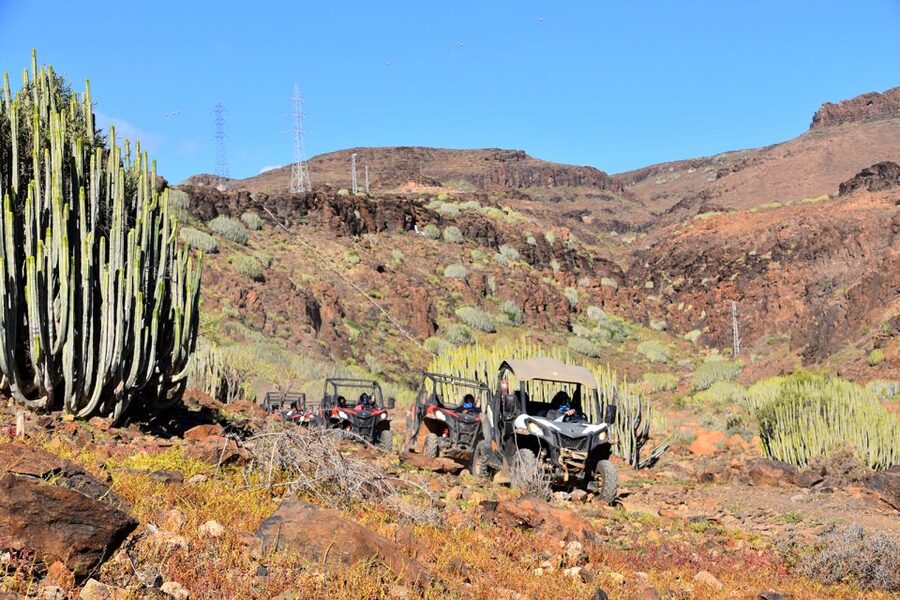 Las Palmas: Gran Canaria Guided Buggy Tour - Key things that make this buggy tour worth your time