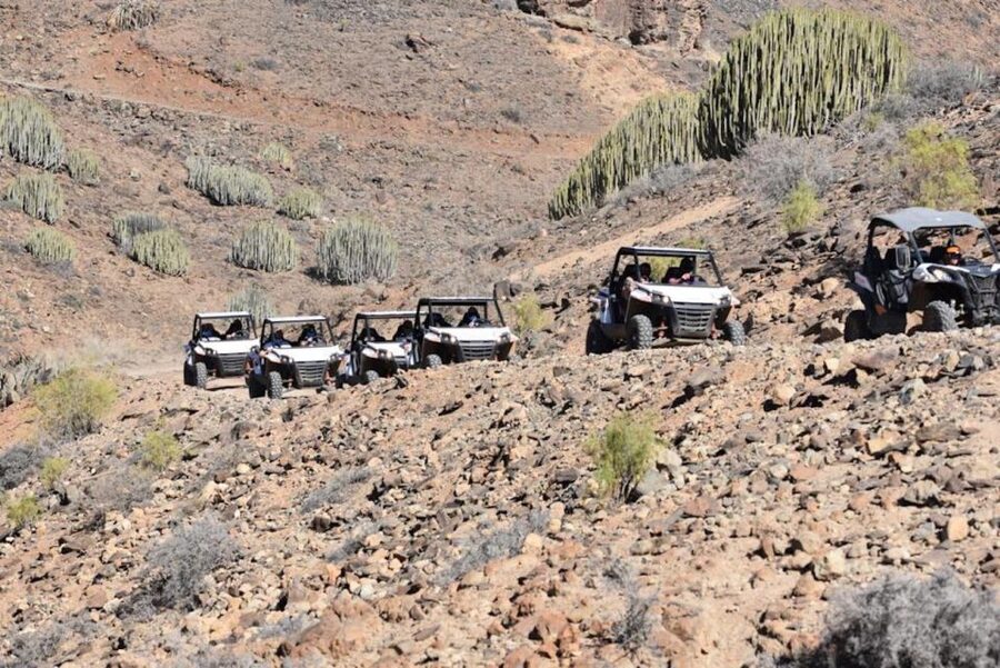 Las Palmas: Gran Canaria Guided Buggy Tour - Riding the Southern Mountains: What 100% Off-Road Really Feels Like