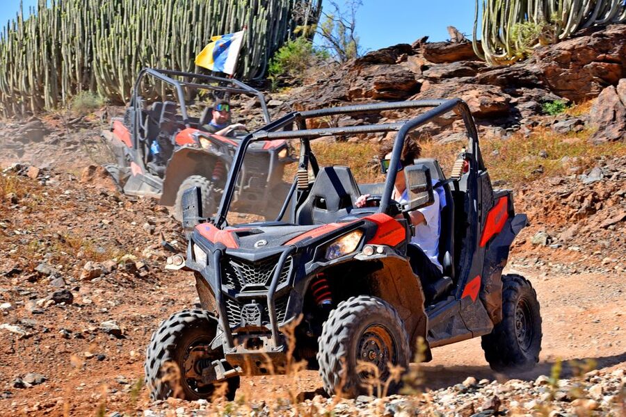 Las Palmas: Gran Canaria Guided Buggy Tour - Pickup and the Ride Home: How to Avoid Transport Friction
