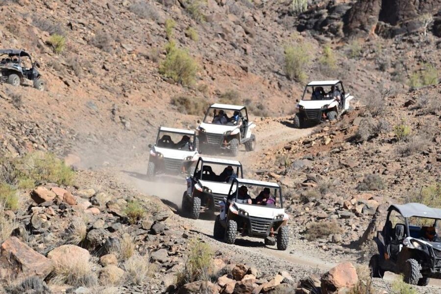Las Palmas: Gran Canaria Guided Buggy Tour - Price at $141: Is It Worth the Money for Two Hours?