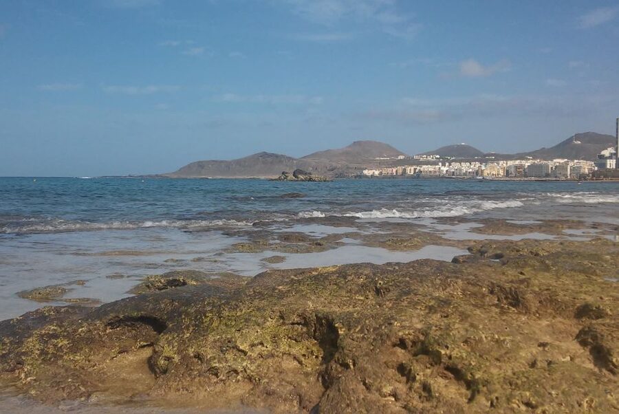 Las Palmas: Las Canteras Beach Snorkeling Trip - Meeting at Emoción Apnea and Getting Sorted Fast