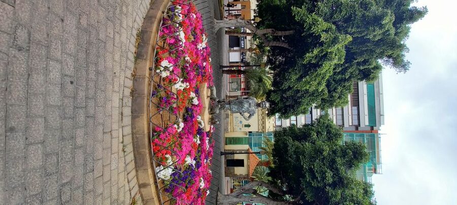 Las Palmas: Private City Highlights & Northern Villages Tour - Las Canteras: waterfront views plus a pirate twist