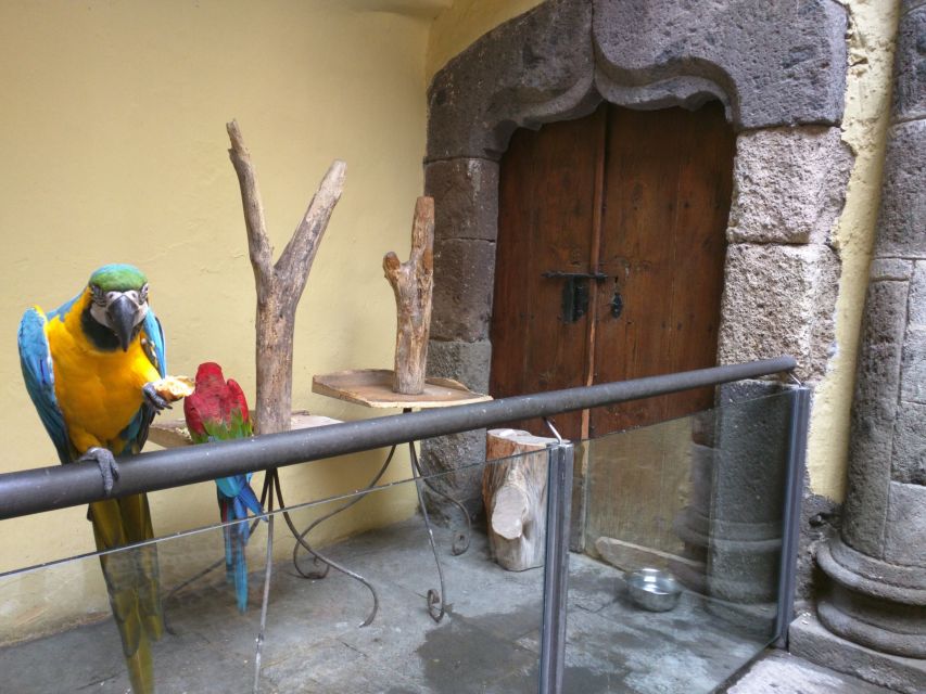 Las Palmas: Private Old City Guided Walking Tour with Tapas - Key takeaways before you go