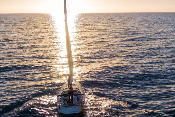 Luxury Charter Blue Dream - Key Things You’ll Notice on This Charter