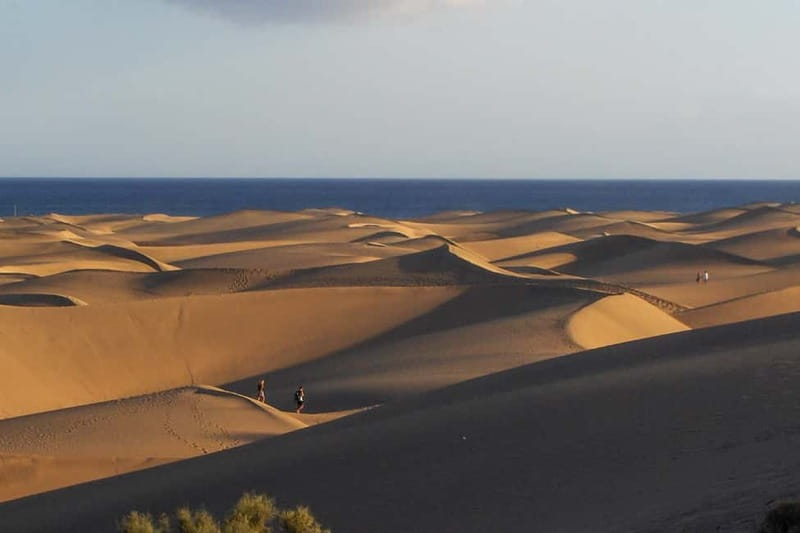 Maspalomas: 1 Hour Segway Sightseeing Tour - Quick reality check before you book