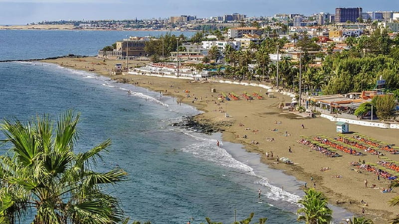 Maspalomas: 1 Hour Segway Sightseeing Tour - Who should book this Maspalomas Segway tour