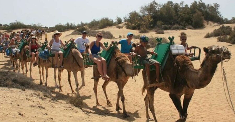 Maspalomas: Guided Camel Ride in the Maspalomas Sand Dunes - Riding Through The Maspalomas Dunes With Saharawi Guides