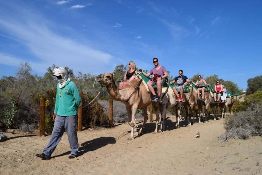 Maspalomas: Guided Camel Ride in the Maspalomas Sand Dunes - Small Logistics That Matter More Than You Think