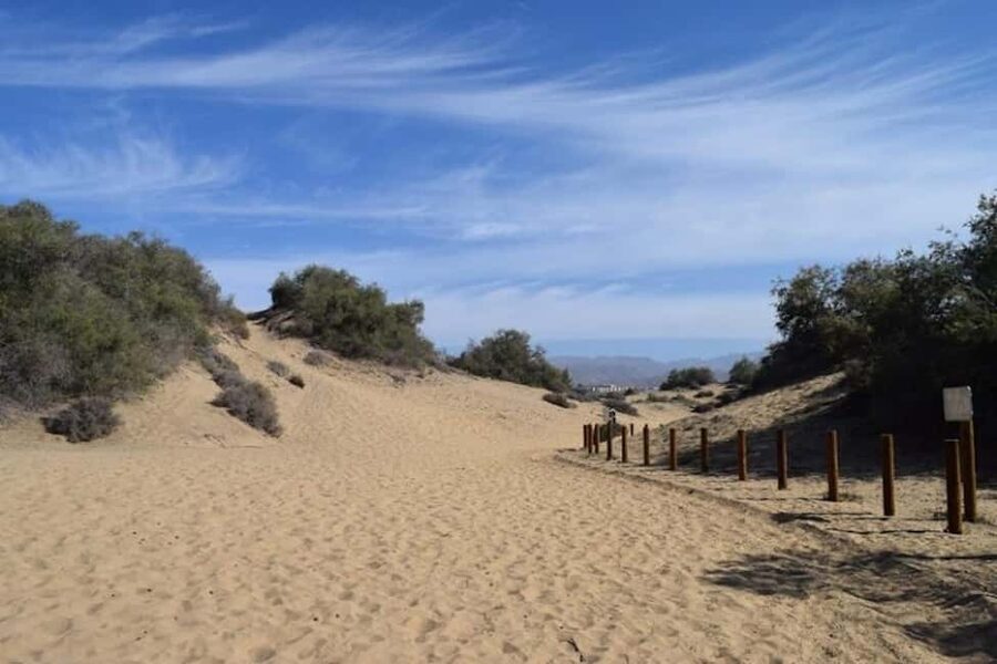 Maspalomas: Guided Camel Ride in the Maspalomas Sand Dunes - Should You Book This Camel Ride In Maspalomas?