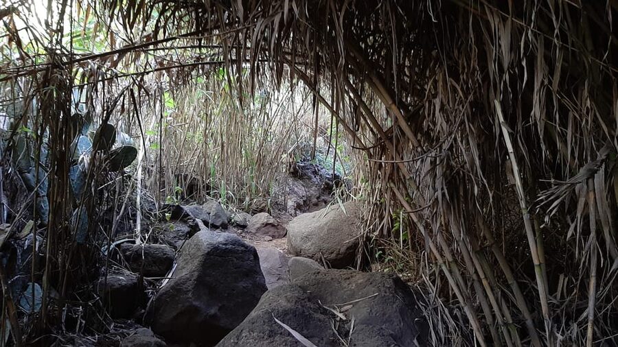 Maspalomas: Hiking in the Waterfalls with Sky Rebels - Price: is $100 per person worth it?