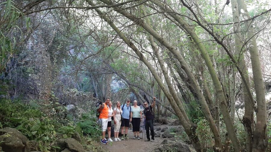 Maspalomas: Hiking in the Waterfalls with Sky Rebels - What’s included: sandwiches, fruit, chocolate, and walking sticks