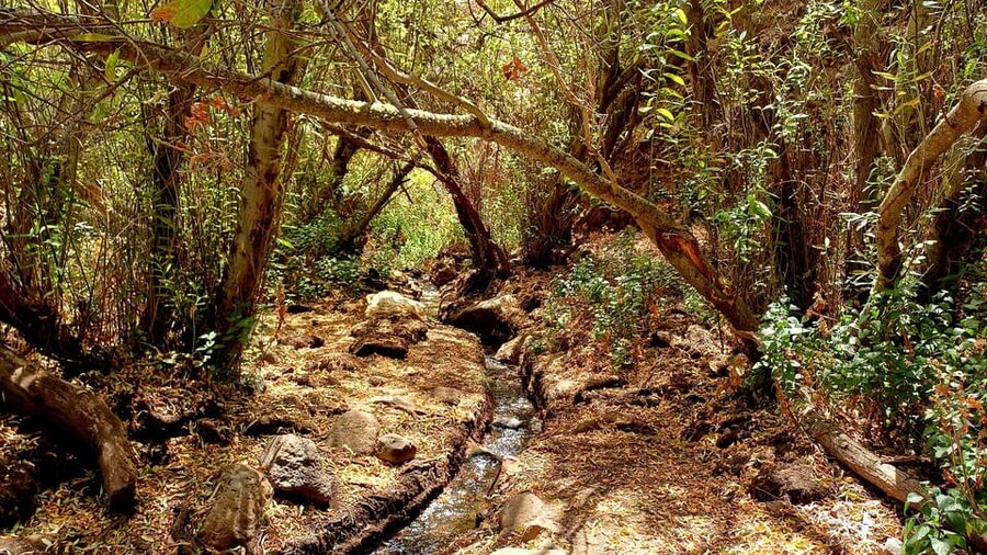 Maspalomas: Hiking in the Waterfalls with Sky Rebels - What to wear and bring (this is where people win or lose)