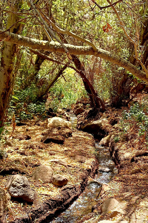 Maspalomas: Hiking in the Waterfalls with Sky Rebels - Who should book this hike from Maspalomas
