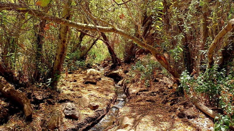 Maspalomas: Hiking in the Waterfalls with Sky Rebels - The 330 minutes: how the time is actually used