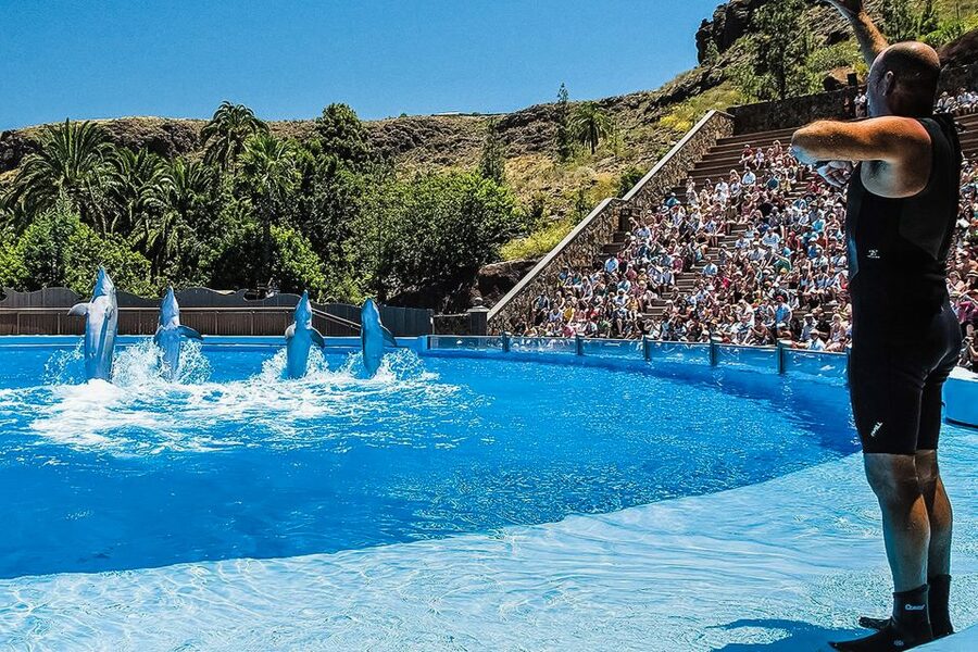 Maspalomas: Palmitos Park Ticket with Dolphin and Bird Shows - Steep Hills, Walking Time, and How to Not Have a Rough Day