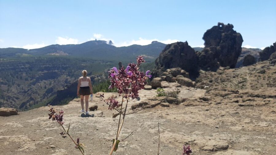 Maspalomas: Roque Nublo - hiking on volcanoes by Sky Rebels - San Bartolomé de Tirajana: a break plus a bit of local time