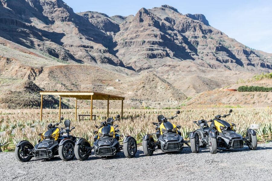 Maspalomas: Ryker Moto Tour to Fataga (Mountain buggy) - Aloe vera plantation: a short stop that adds local flavor