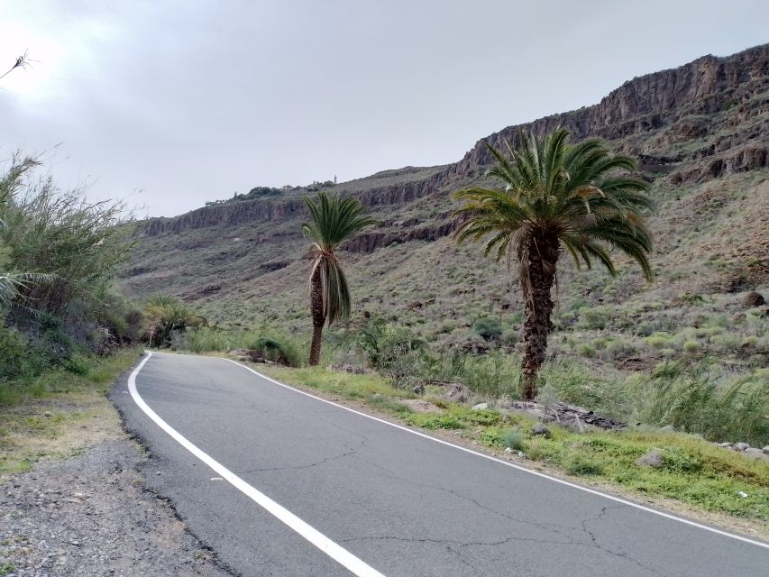 Maspalomas: Southern Coast E-Bike Tour Option Tapas Tasting - Entering The Southern Coast With An E-Bike That Actually Helps