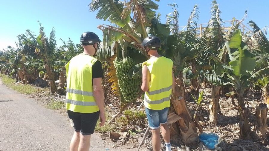 Maspalomas: Southern Coast E-Bike Tour Option Tapas Tasting - El Pajar Fishing Village: Lunch With a Volcanic-Beach View