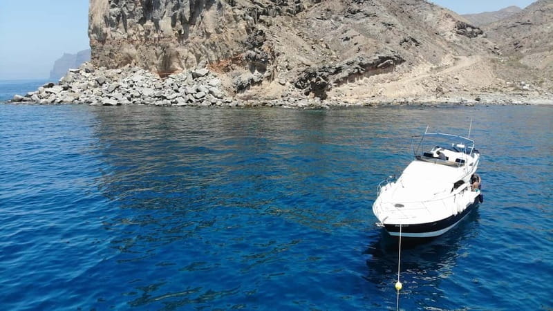 Mogan: Dolphin Watching Boat Trip with Swim Stop - Puerto de Mogán to the South West Coast: why the location is the whole game