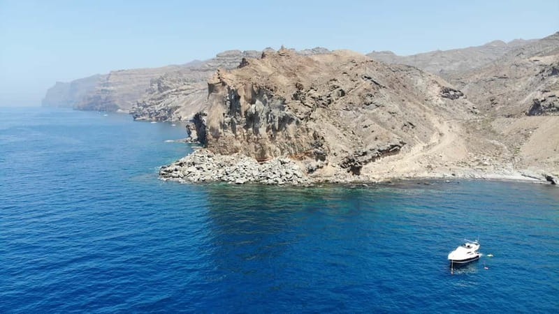 Mogan: Dolphin Watching Boat Trip with Swim Stop - Price and value: is $100 a fair deal?