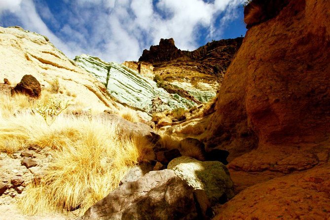 Mogán, La Aldea, Las Canteras - Big Island Tour Gran Canaria - Key things I’d watch for before you go