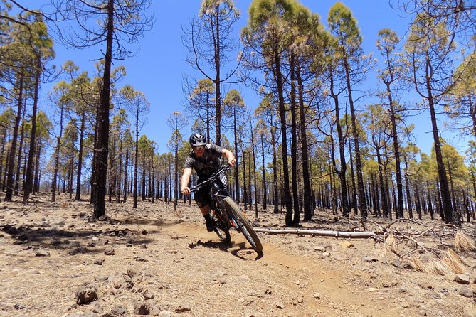Mountain bike excursions - Quick hits before you pedal