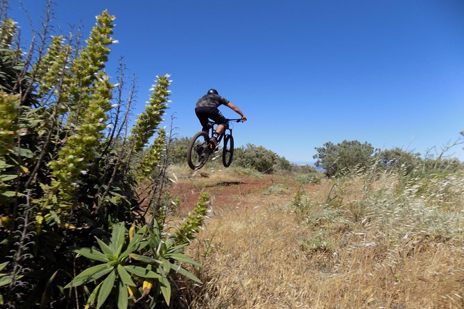 Mountain bike excursions - Entering the ride at 1,950 meters in Gran Canaria